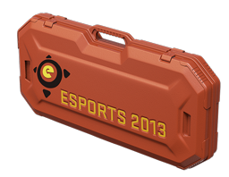 Кейс eSports 2013